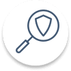Data Protection and Firewall Icon