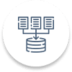 Data Storage solutions Icon
